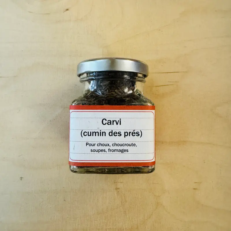 Carvi (cumin des prés)
