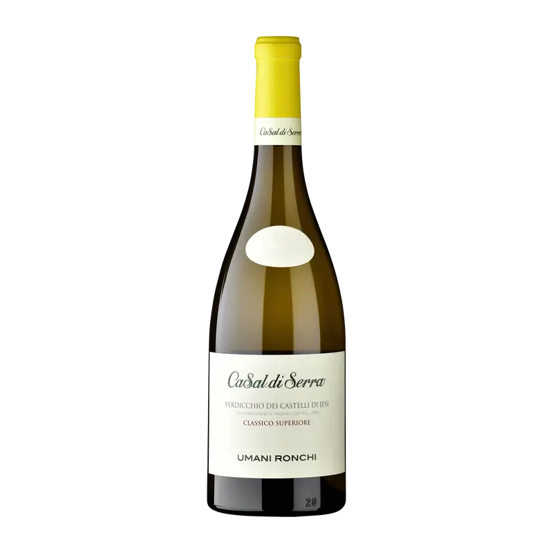 Casal di Serra 2024 Verdicchio dei Castelli di Jesi DOC