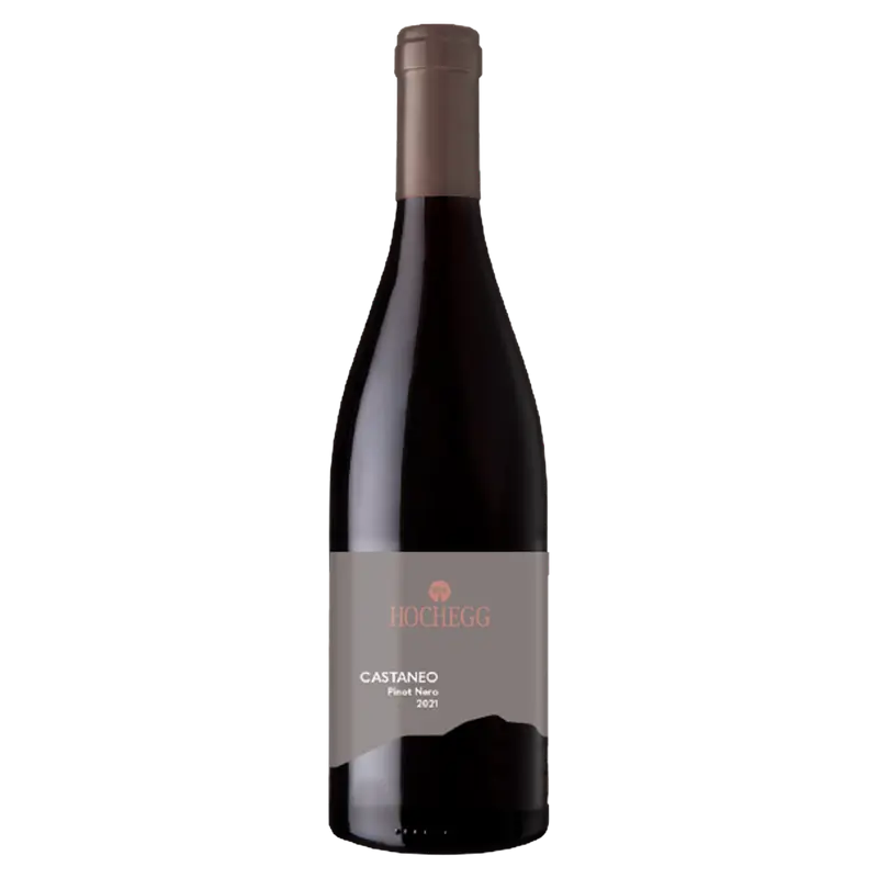 Castaneo Blauburgunder 2021 Südtirol DOC
