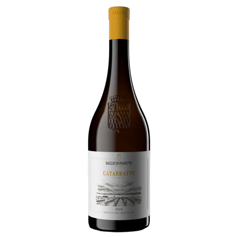 Catarratto 2023 Sicilia DOC