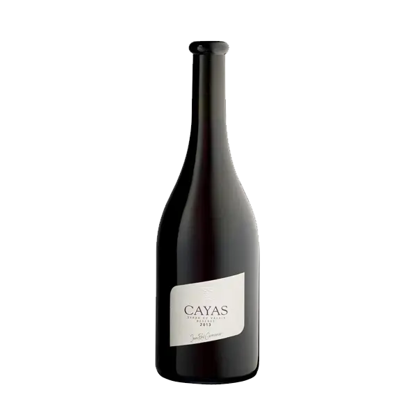 Cayas Syrah Réserve - Jean-René Germanier 2018 3L