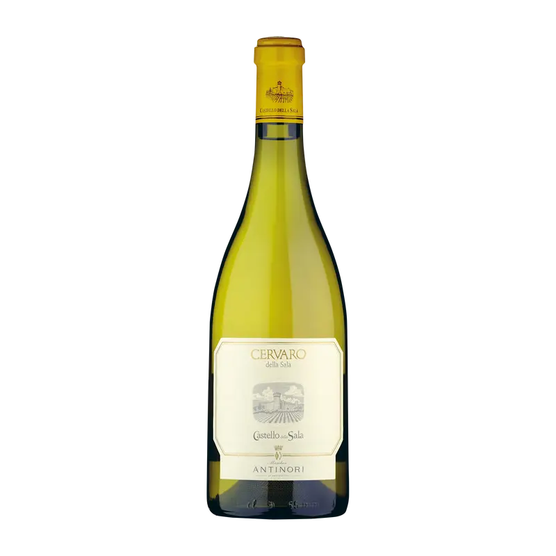 Cervaro 2024 Umbria igt