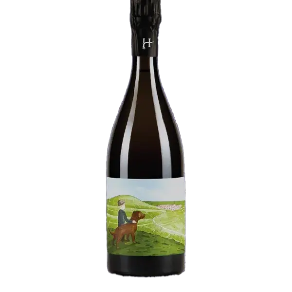 Champagne Brut Nature - Le Gamin du Terroir - Romain Henin