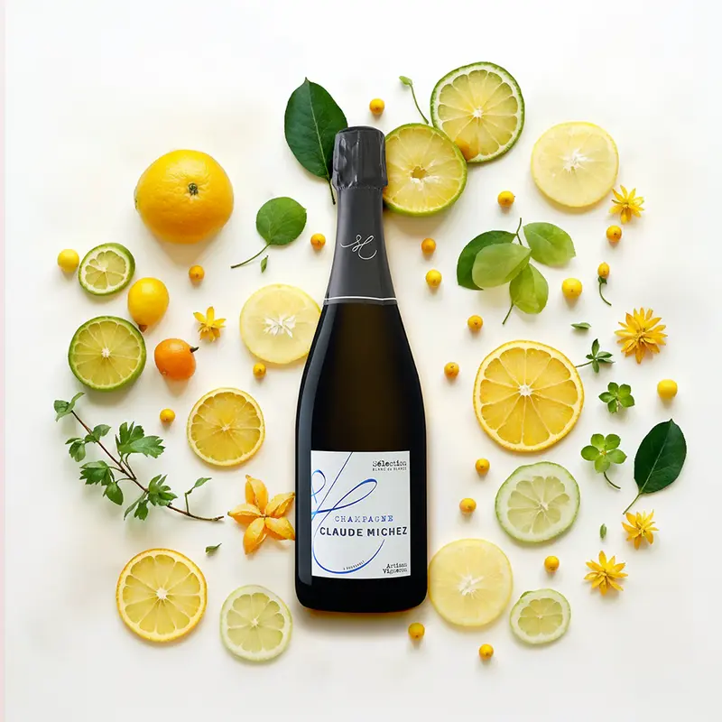 Claude Michez Sélection Blanc de Blancs Champagner Brut