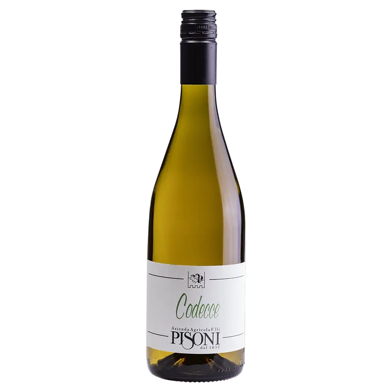 Codecce weiss 2024 Weinberg Dolomiten igp