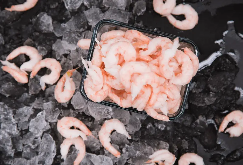 Coldwater - Räkor i saltlag - Shrimps in Brine - 1500g