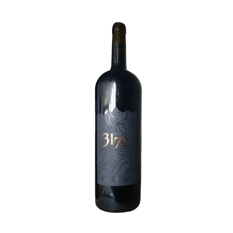 Cuvée 3170 Magnum Assemblage Fût de Chêne - AOC Valais Cordonier & Lamon SA