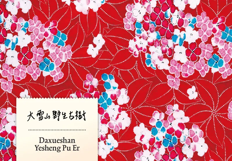 Daxueshan Yesheng Gushu Pu Er 2022