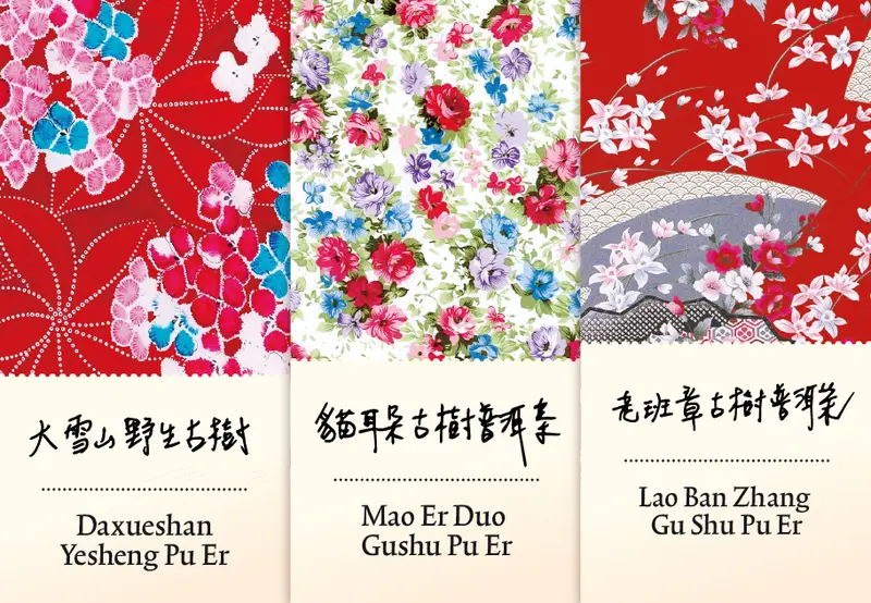 Degustations-Set Pu Er vertiefen II