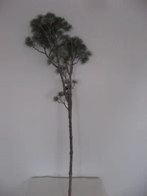 Dekozweige Länge 89 cm