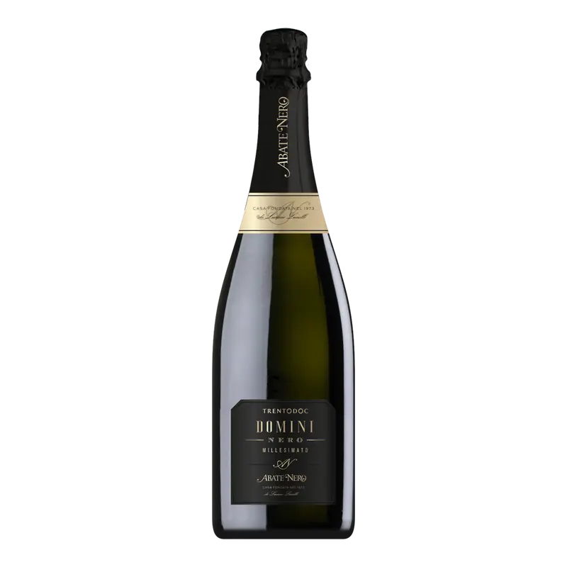 Domini Nero Brut Trento 2016 DOC