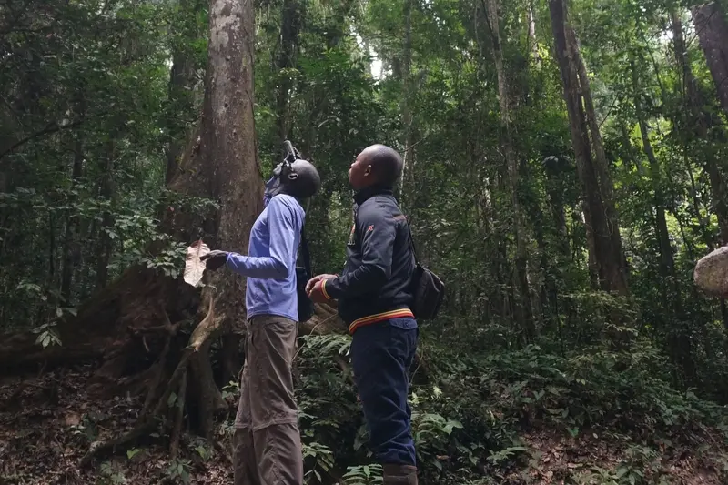 DR Congo, Lukula, Luki Mvuka