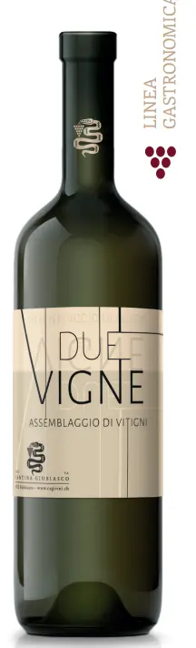 DUE VIGNE