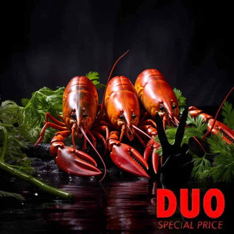 DUO Marcus Kräftan Väderstad Frysta Signalkräftor - Frozen Cooked Swedish Crayfish 500 gr X 2