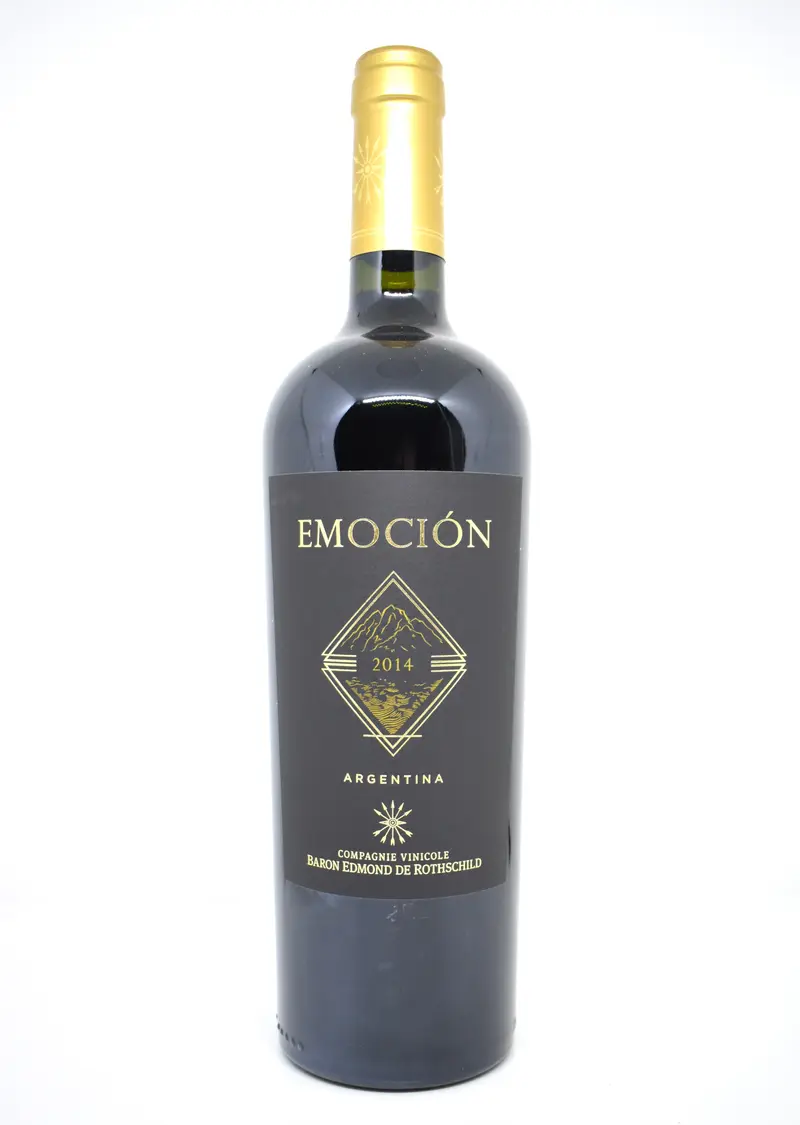 Emoción 2014 - Flechas de los Andes - Argentina