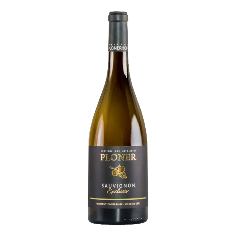 Exclusiv Sauvignon 2025 Südtirol DOC