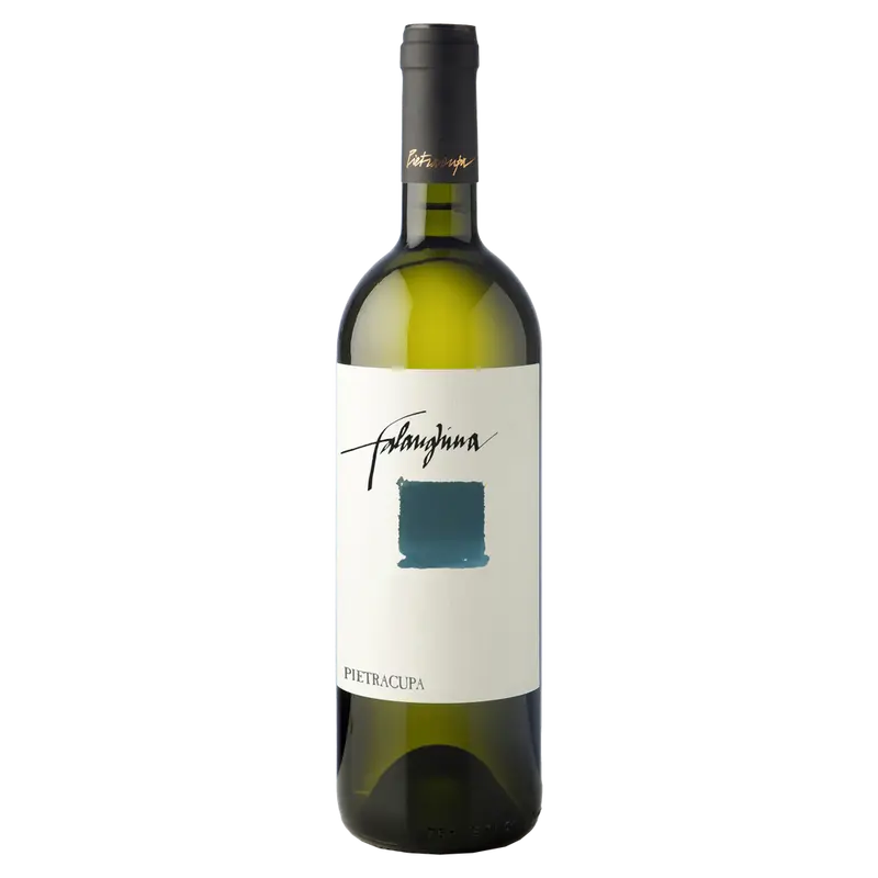 Falanghina 2023 Campania igt