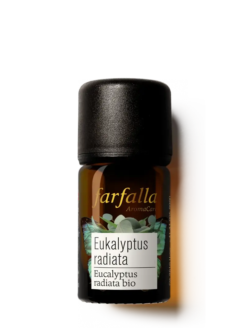 Farfalla | Eukalyptus radiata Bio Grand Cru | 5ml Ätherisches Öl