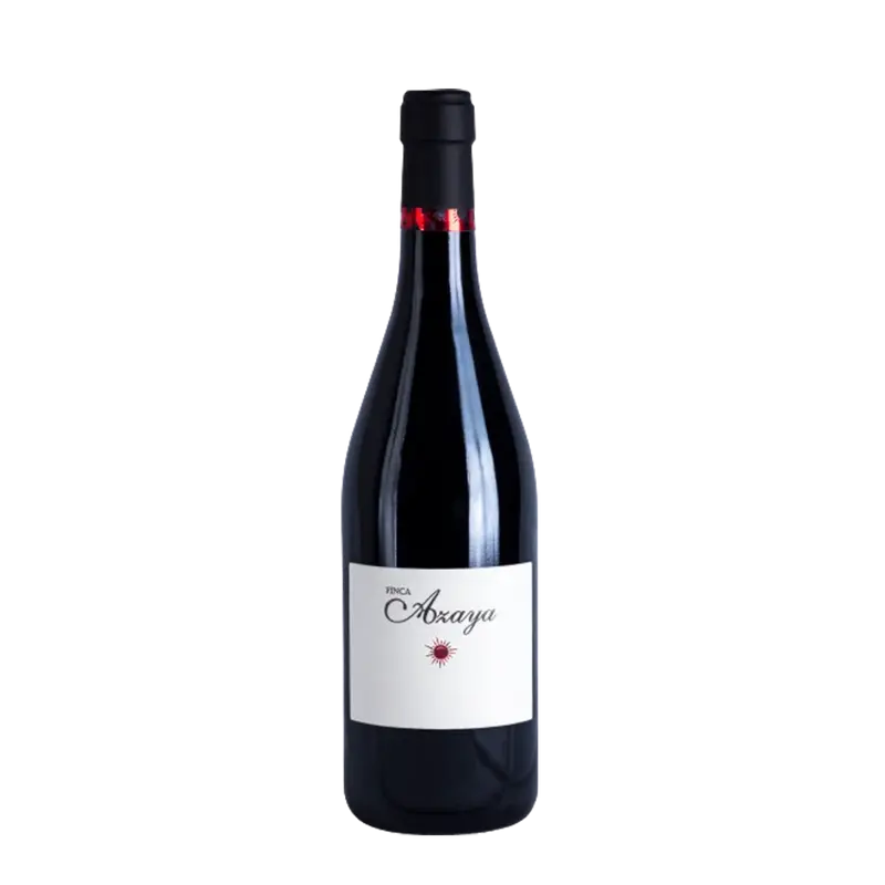 Finca Azaya Ribera del Duero Valduero