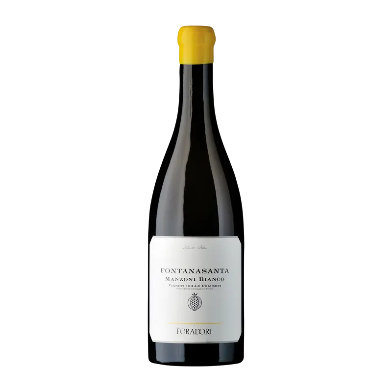 Fontanasanta Manzoni bianco 2024 Weinberg Dolomiten igt