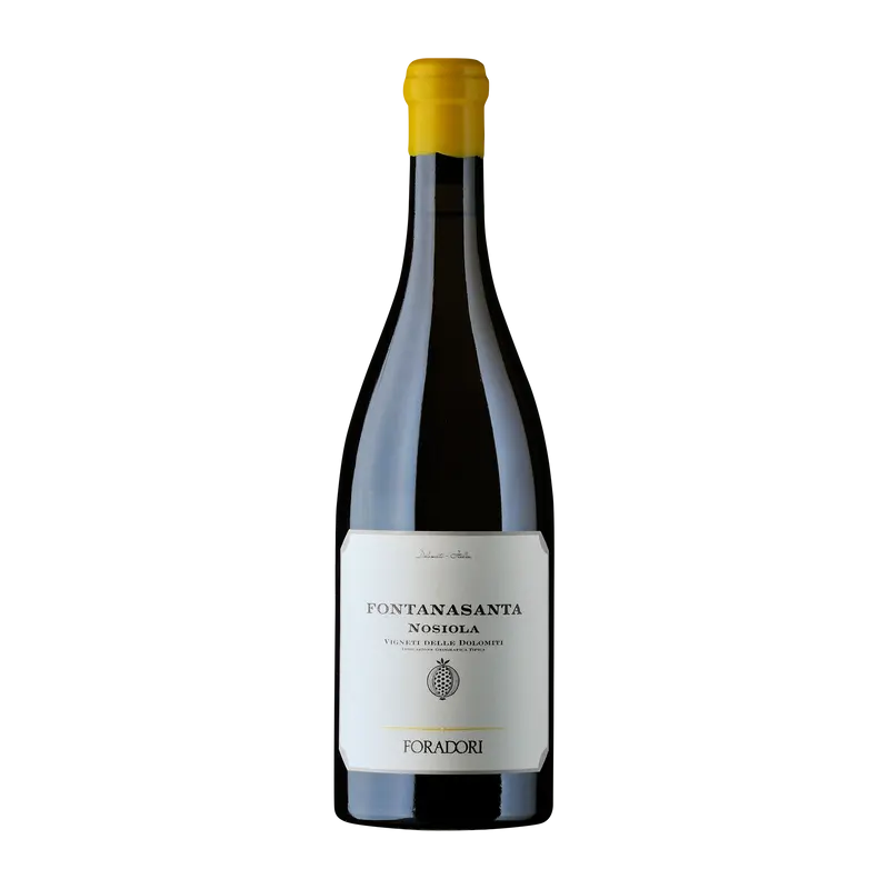 Fontanasanta Nosiola 2024 Weinberg Dolomiten igt
