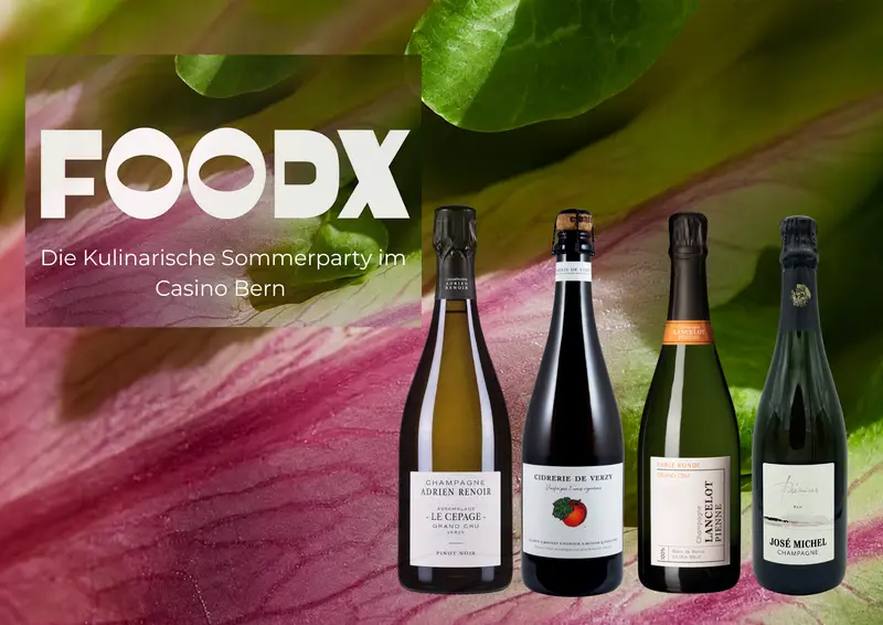 FOODX SELECTION BOX
