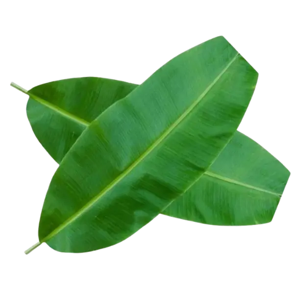 Fresh Banana Leaves – 500 g