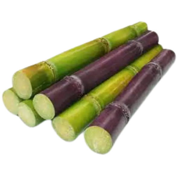 Fresh Sugarcane - 1 Kg