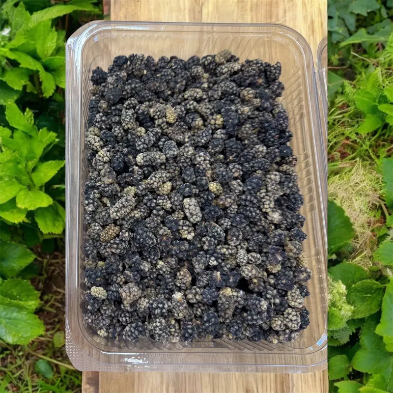 Getrocknete Schwarze Maulbeeren 500g • Natürlich und Köstlich