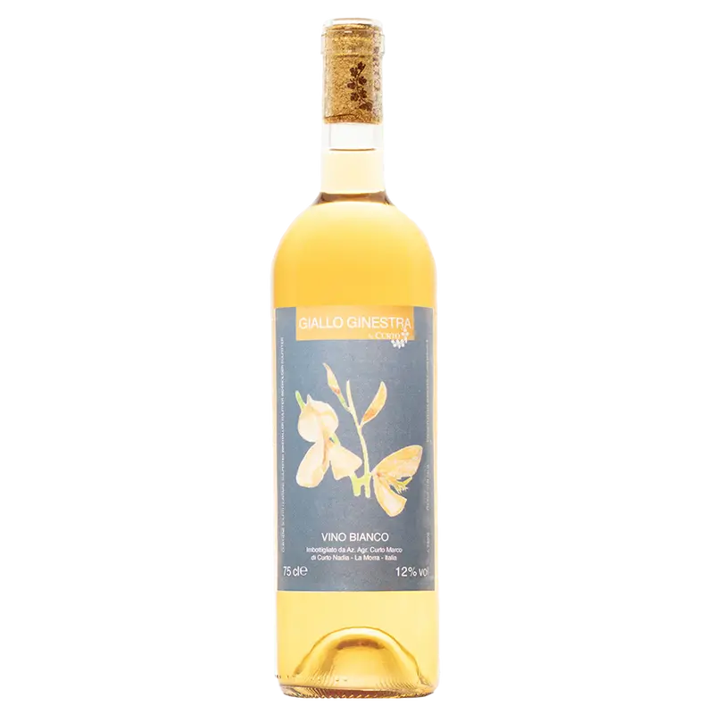 Giallo Ginestra 2023 DOC