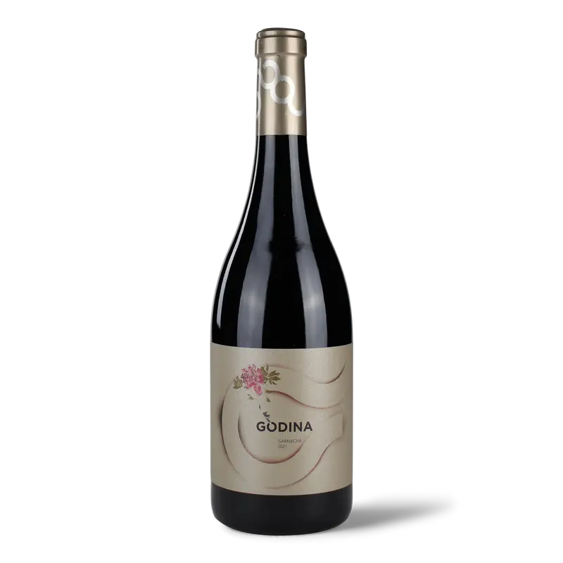 Godina 2021