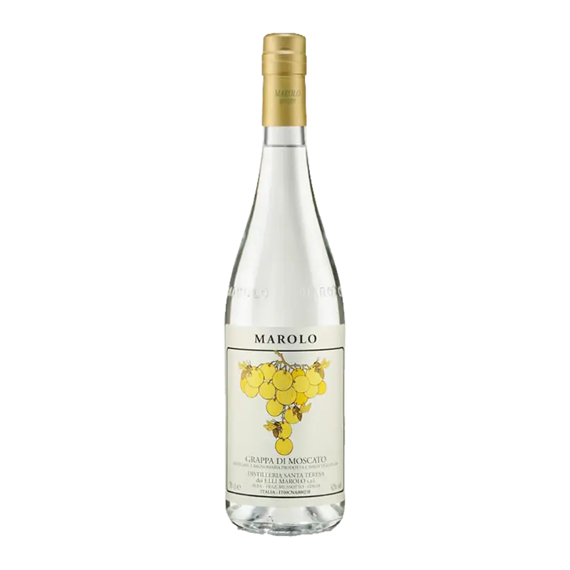 Grappa Moscato