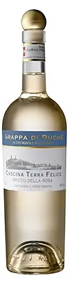 Grappa di Ruché