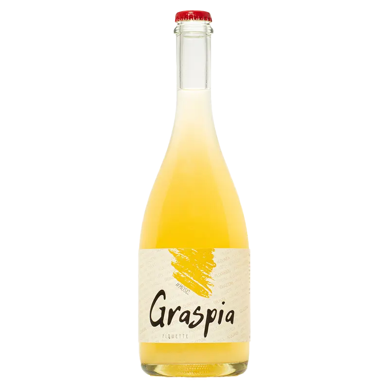 Graspia Piquette
