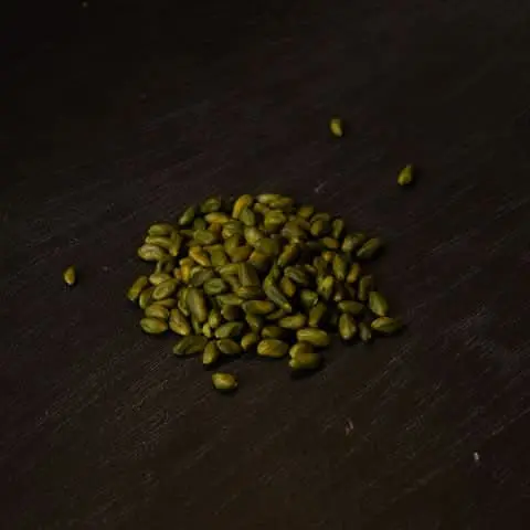 Green Nature Pearl