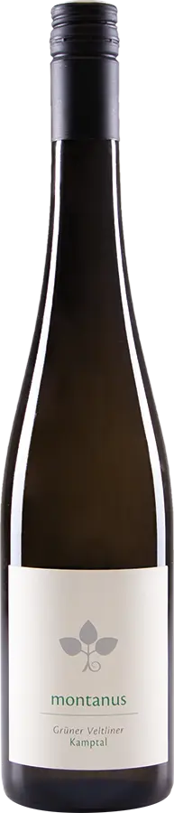 Grüner Veltliner Montanus Kamptal DAC 2024