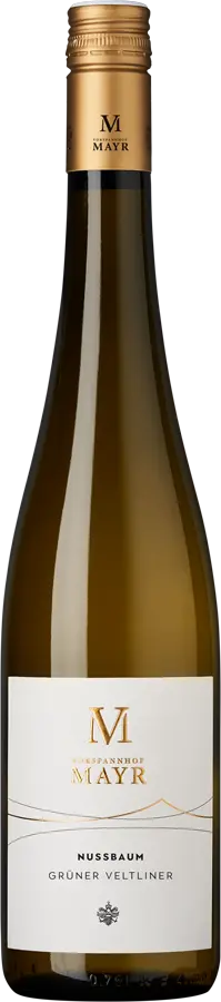 Grüner Veltliner Nussbaum 2025