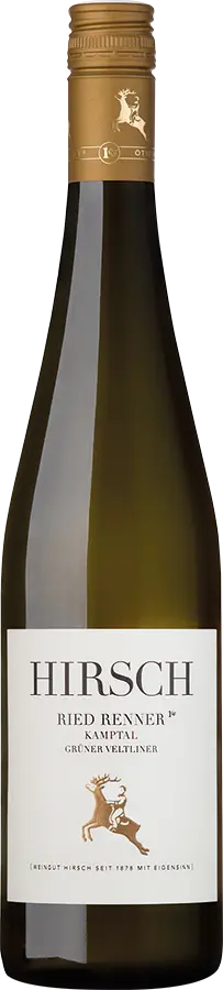 Grüner Veltliner Ried Renner 1ÖTW Kammern Kamptal DAC 2023