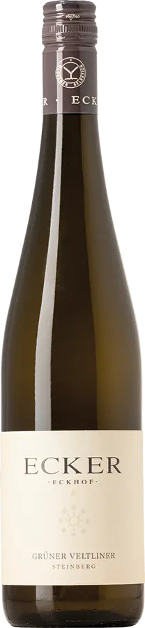 Grüner Veltliner Ried Steinberg 2024