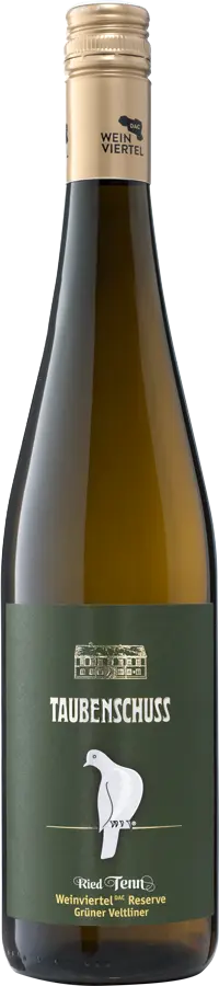 Grüner Veltliner Ried Tenn Weinviertel DAC Reserve 2021
