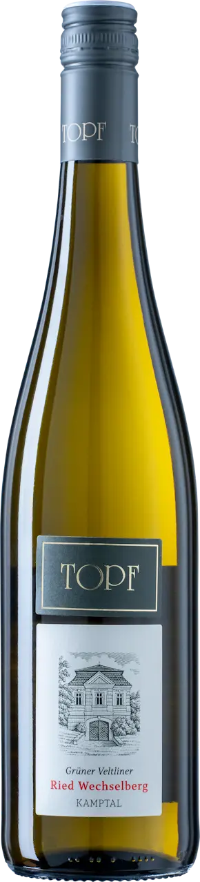 Grüner Veltliner Ried Wechselberg Kamptal DAC 2024