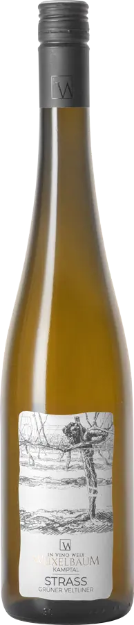 Grüner Veltliner Strass Kamptal DAC 2025