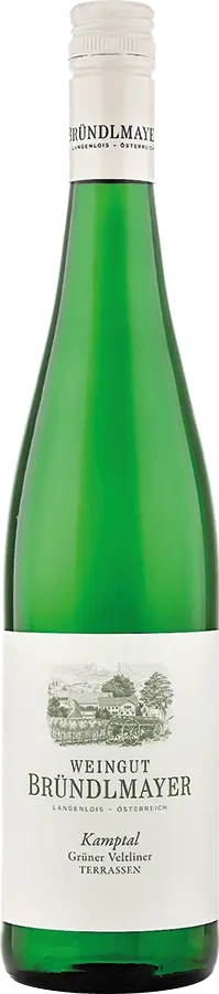 Grüner Veltliner Terrassen Kamptal DAC 2024