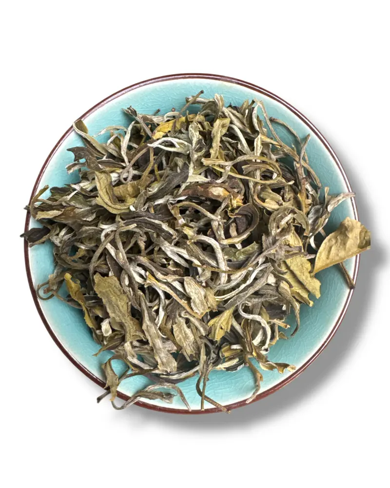 Grüntee China 'Orchid Snow Buds' Bio | Teemotion