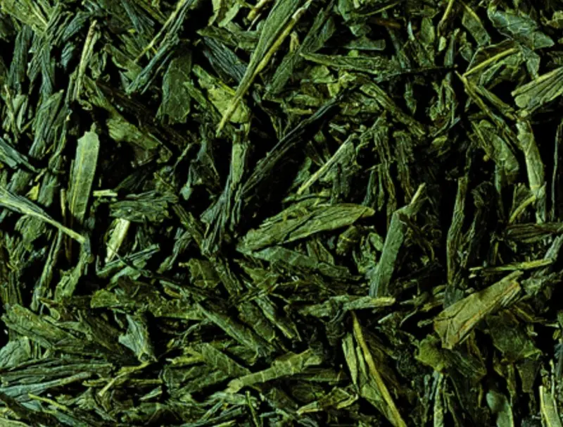 Grüntee Japan Bancha BIO