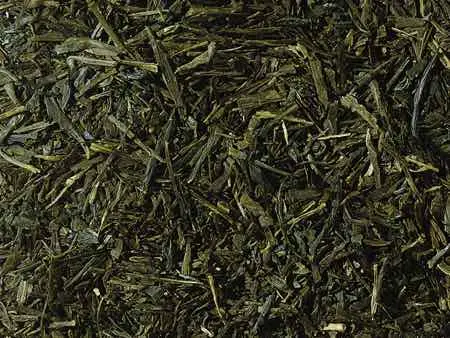 Grüntee Japan Gyokuro Asahi