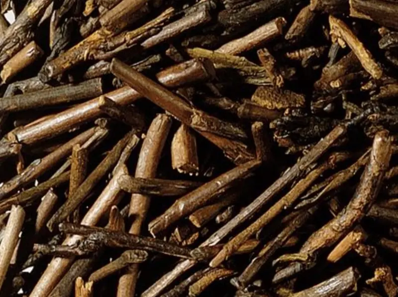 Grüntee Japan Kukicha toasted BIO