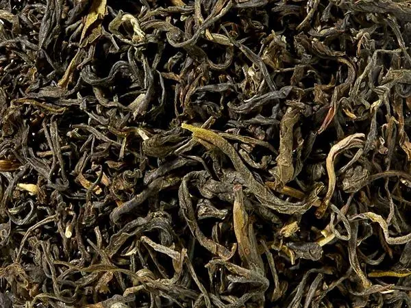 Grüntee Leafy Green Kolumbien BIO