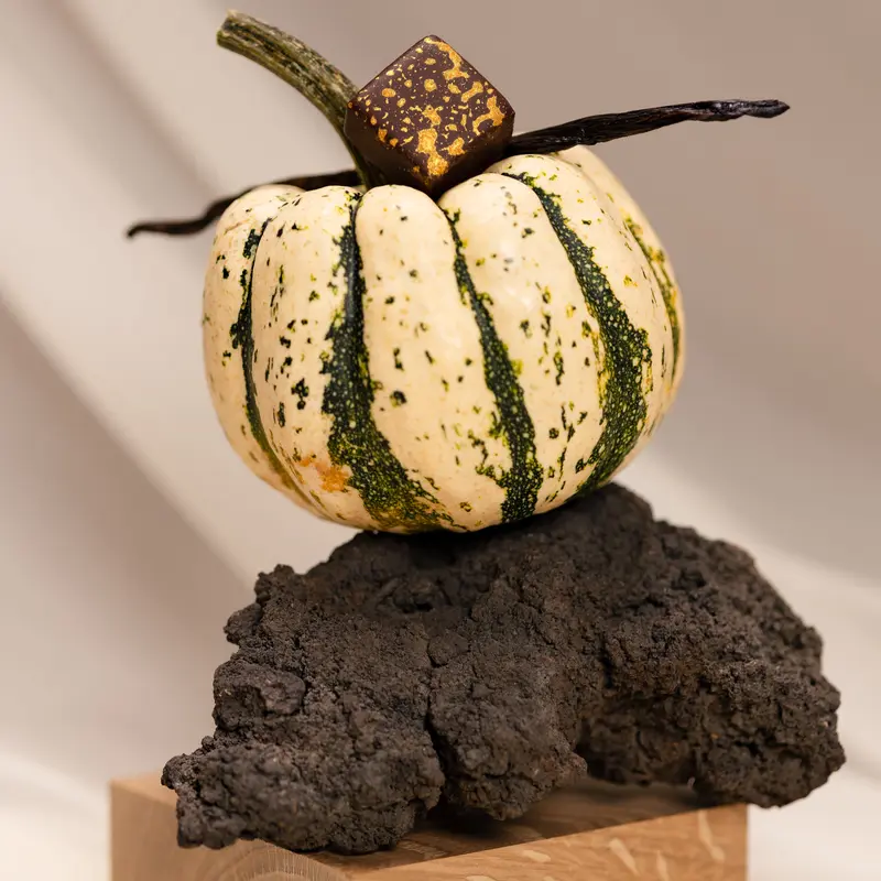 Herbstkollektion Würzig Sanft -9er Letzte 2 Stücke!