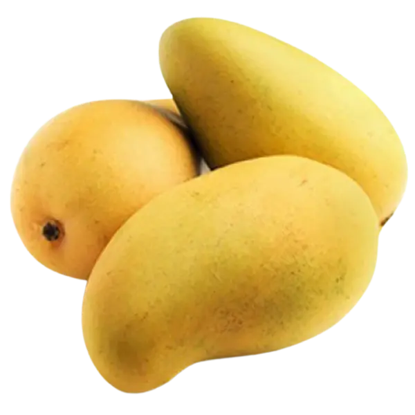 Honey Mango – 1.5 kg approx